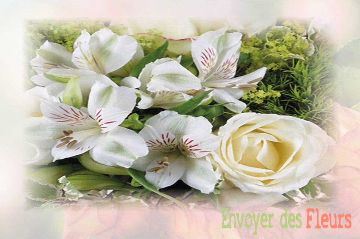 envoyer des fleurs à à SAINT-DENIS-DU-PAYRE